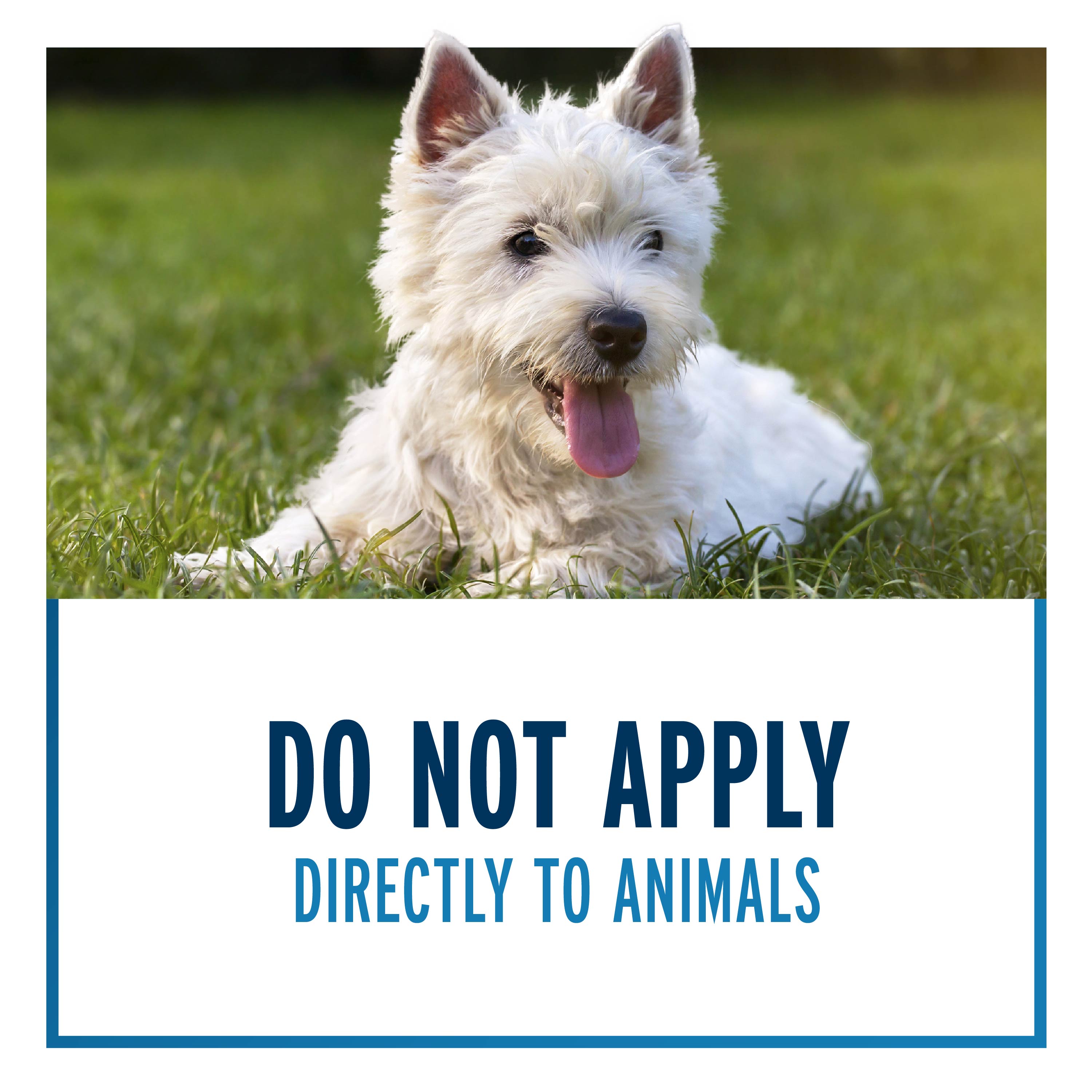 do not apply directly to animals